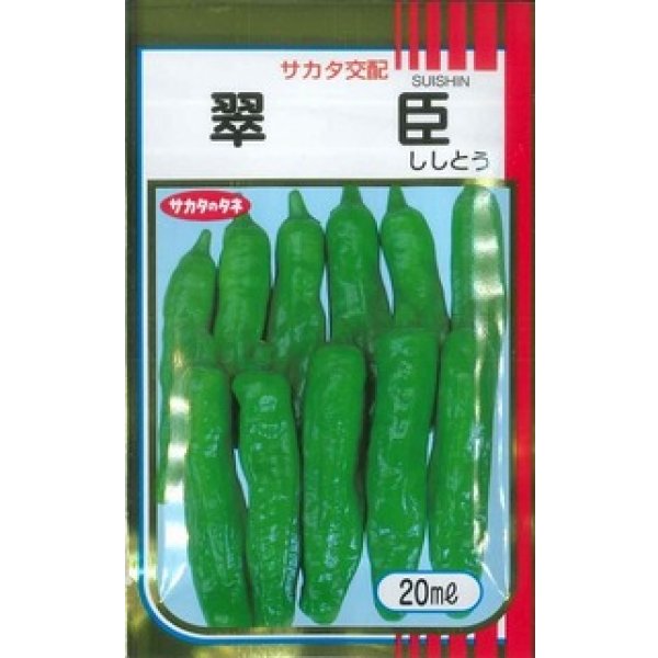 画像1: 送料無料 [ししとう] 翠臣 20ml (株)サカタのタネ (1)