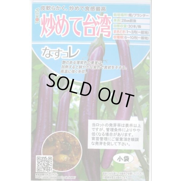 画像1: 送料無料　[なす]　炒めて台湾　100粒　トキタ種苗(株) (1)
