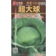 画像1: 送料無料　[キャベツ]　超大球　1ml　トキタ種苗(株) (1)