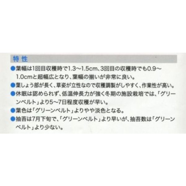 画像3: 送料無料　ニラ　ワンダーグリーンベルト　20ml(およそ2,160粒)（株）武蔵野種苗園 (3)