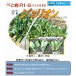 画像3: 送料無料　[ほうれんそう]　ジュリオン　40ml　トキタ種苗(株) (3)