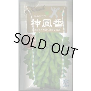 画像: 送料無料　[枝豆]　枝豆　神風香　70ml　(およそ170粒)雪印種苗(株)