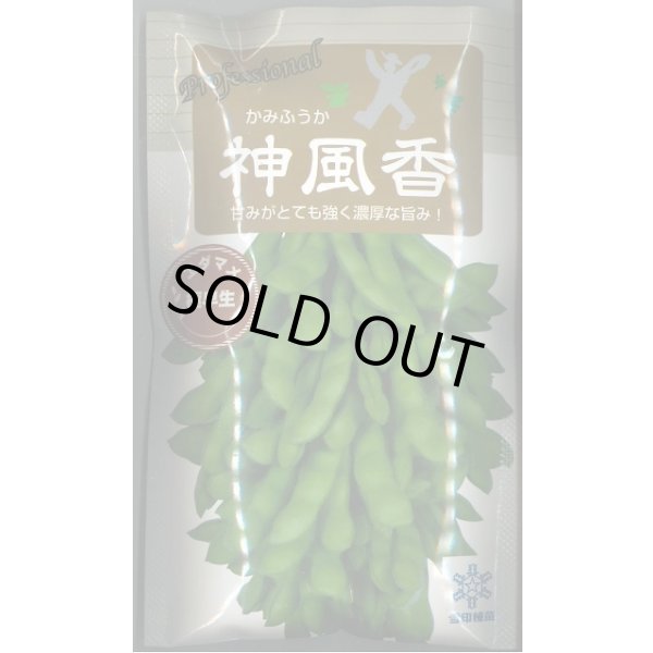 画像1: 送料無料　[枝豆]　枝豆　神風香　70ml　(およそ170粒)雪印種苗(株) (1)
