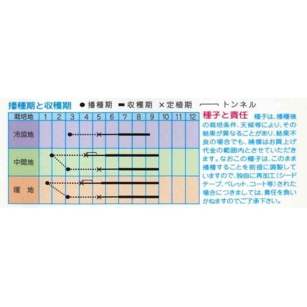 画像2: [なす]　京野菜　賀茂なす　1ml　（株）タカヤマシード (2)