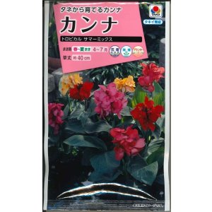 画像: 送料無料　花の種　カンナ　トロピカル　サマーミックス　小袋　タキイ種苗(株)