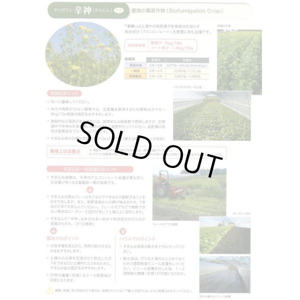 画像8: [緑肥] チャガラシ 辛神 500g 雪印種苗(株) (8)