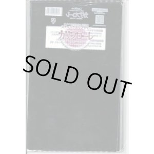 画像: 青果袋　カリフローレＦＧ袋　100枚入　トキタ種苗（株）