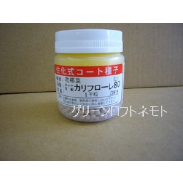 画像1: [イタリア野菜]　カリフローレ80　Lコート1000粒　トキタ種苗(株) (1)