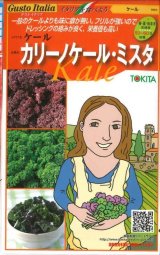 画像: [イタリア野菜]　カリーノケール・ミスタ　40粒　トキタ種苗（株）