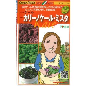 画像: [イタリア野菜]　カリーノケール・ミスタ　40粒　トキタ種苗（株）