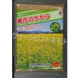 画像1: [緑肥]　からしな　黄花のちから　 1kg　タキイ種苗（株） (1)