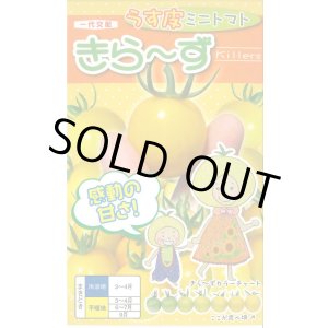 画像: 送料無料　[トマト/ミニトマト]　きら〜ず　15粒　ナント種苗(株)
