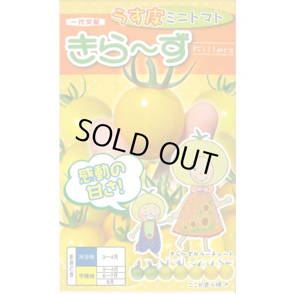 画像1: 送料無料　[トマト/ミニトマト]　きら〜ず　15粒　ナント種苗(株) (1)