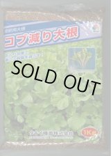画像: [緑肥] 大根 コブ減り大根 1kg タキイ種苗(株)