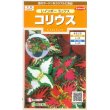 画像1: 花の種　コリウス　レインボーミックス　　約72粒　サカタのタネ（株）実咲200 (1)