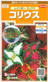画像: 送料無料　花の種　コリウス　レインボーミックス　約72粒　(株)サカタのタネ　実咲200（026332）