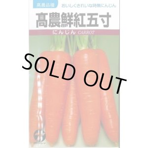 画像: [人参] 高農鮮紅五寸 20ml (株)タカヤマシード