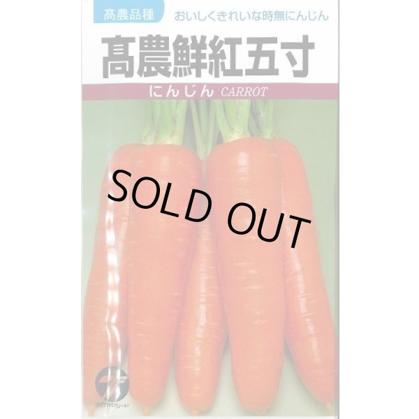 画像1: [人参] 高農鮮紅五寸 20ml (株)タカヤマシード (1)