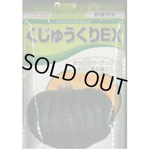 画像: 送料無料　[かぼちゃ]　くじゅうくりEX南瓜　500粒　カネコ種苗（株）
