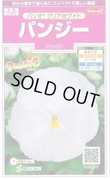 画像: 送料無料　花の種　パンジー　パシオ　クリアホワイト　約34粒　(株)サカタのタネ　実咲350（026138）