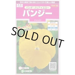 画像: 送料無料　花の種　パンジー　パシオ　クリアイエロー　約34粒　(株)サカタのタネ　実咲350（026137）