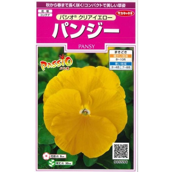 画像1: 送料無料　花の種　パンジー　パシオ　クリアイエロー　約34粒　(株)サカタのタネ　実咲350（026137） (1)