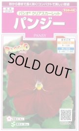画像: 送料無料　花の種　パンジー　パシオ　クリアスカーレット　約34粒　(株)サカタのタネ　実咲350（026135）
