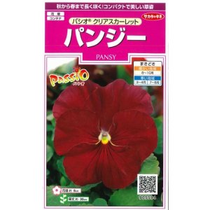 画像: 送料無料　花の種　パンジー　パシオ　クリアスカーレット　約34粒　(株)サカタのタネ　実咲350（026135）
