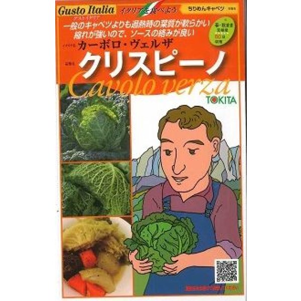 画像1: 送料無料　[イタリア野菜]　クリスピーノ　50粒　トキタ種苗(株) (1)