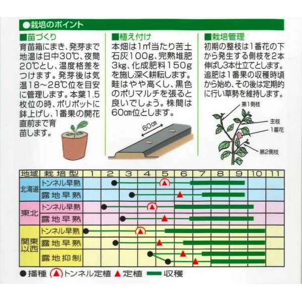 画像2: [なす]　くろべえ　0.6ml（およそ70粒）　（株）渡辺採種場 (2)