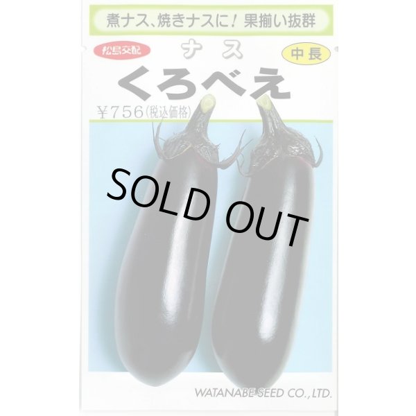 画像1: 送料無料　[なす]　くろべえ　0.6ml(およそ70粒)　(株)渡辺採種場 (1)