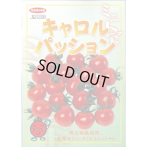 画像2: 送料無料　[トマト/ミニトマト]　キャロルパッション　40粒　(株)サカタのタネ　実咲PRO (2)