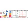 画像3: 送料無料　[トマト/ミニトマト]　キャロルロゼ(すずなりピンク)13粒　(株)サカタのタネ実咲550（002825） (3)