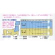 画像2: [トマト]　強力米寿　1000粒　タキイ種苗（株） (2)