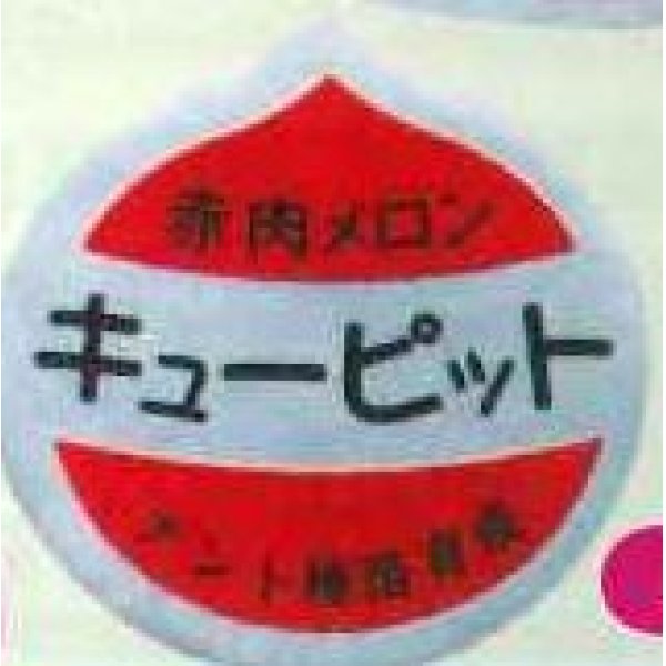 画像1: 送料無料！青果シール　メロン　キューピット用　1000枚   ナント種苗（株） (1)