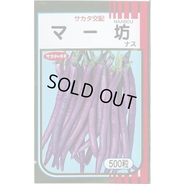 画像1: 送料無料　[なす]　マー坊　500粒　(株)サカタのタネ (1)