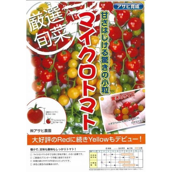 画像2: [トマト]　マイクロトマト（イエロー）20粒　　アサヒ育成 (2)