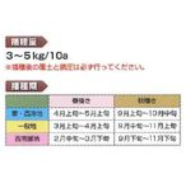 画像2: [緑肥]　ヘアリーベッチ　寒太郎　(サバン)　1kg　雪印種苗(株) (2)