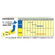 画像3: [トマト/ミニトマト]　そのまんまdeミニトマト（マンマミーア）　15粒　ナント種苗（株） (3)