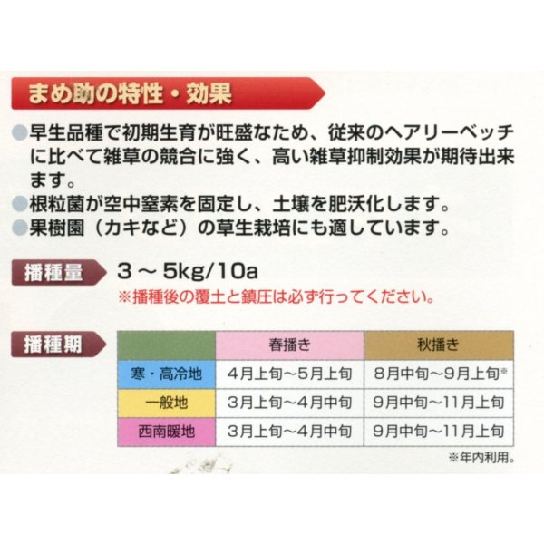 画像3: [緑肥]　ヘアリーベッチ　まめ助　1kg　雪印種苗(株) (3)