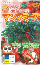 画像: [トマト/ミニトマト]　そのまんまdeミニトマト（マンマミーア）　15粒　ナント種苗（株）