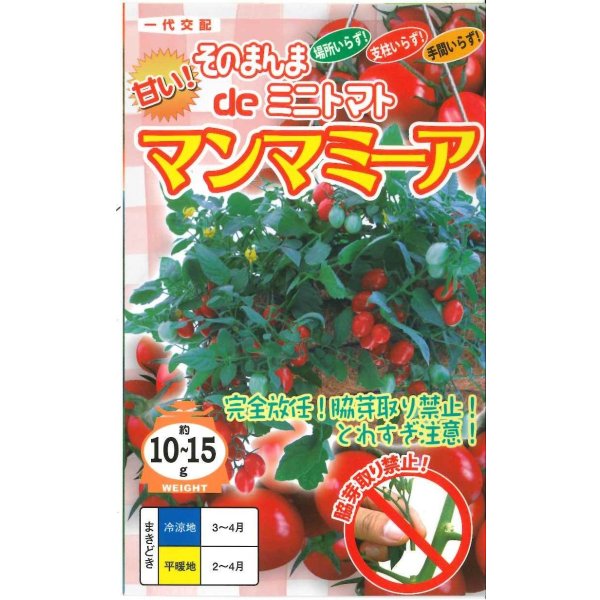 画像1: [トマト/ミニトマト]　そのまんまdeミニトマト（マンマミーア）　15粒　ナント種苗（株） (1)