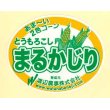 画像1: 青果シール　とうもろこし　まるかじり　100枚入り   渡辺農事 (1)