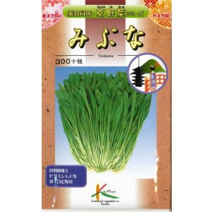 画像: 送料無料　京野菜　みぶな(晩生種)　7ml　(株)タカヤマシード