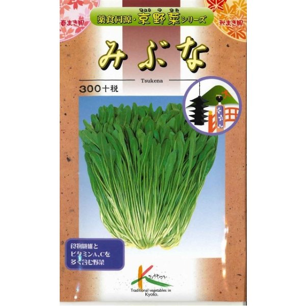 画像1: 送料無料　京野菜　みぶな(晩生種)　7ml　(株)タカヤマシード (1)