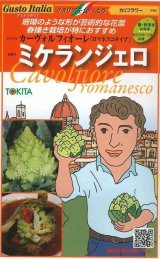 画像: [イタリア野菜]　ミケランジェロ　５０粒   トキタ種苗（株）