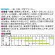 画像2: [トマト/ミニトマト]　ミニキャロル　約14粒　サカタのタネ（株）　 実咲400 (2)