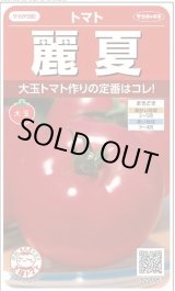 画像: 送料無料　[トマト]　麗夏　21粒　(株)サカタのタネ　実咲550 （002815）