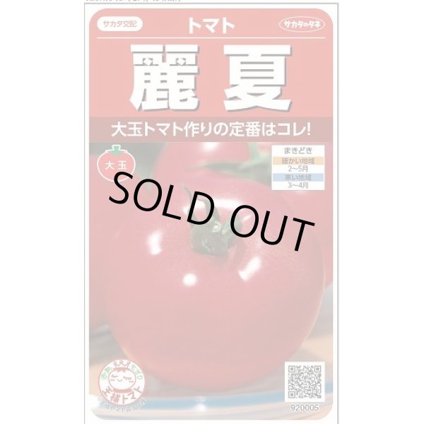 画像1: 送料無料　[トマト]　麗夏　21粒　(株)サカタのタネ　実咲550 （002815） (1)