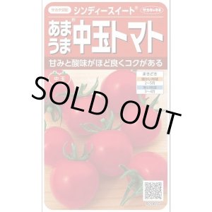 画像: 送料無料　[トマト/中玉トマト]　シンディースイート　約21粒　（株）サカタのタネ 実咲550（002816）
